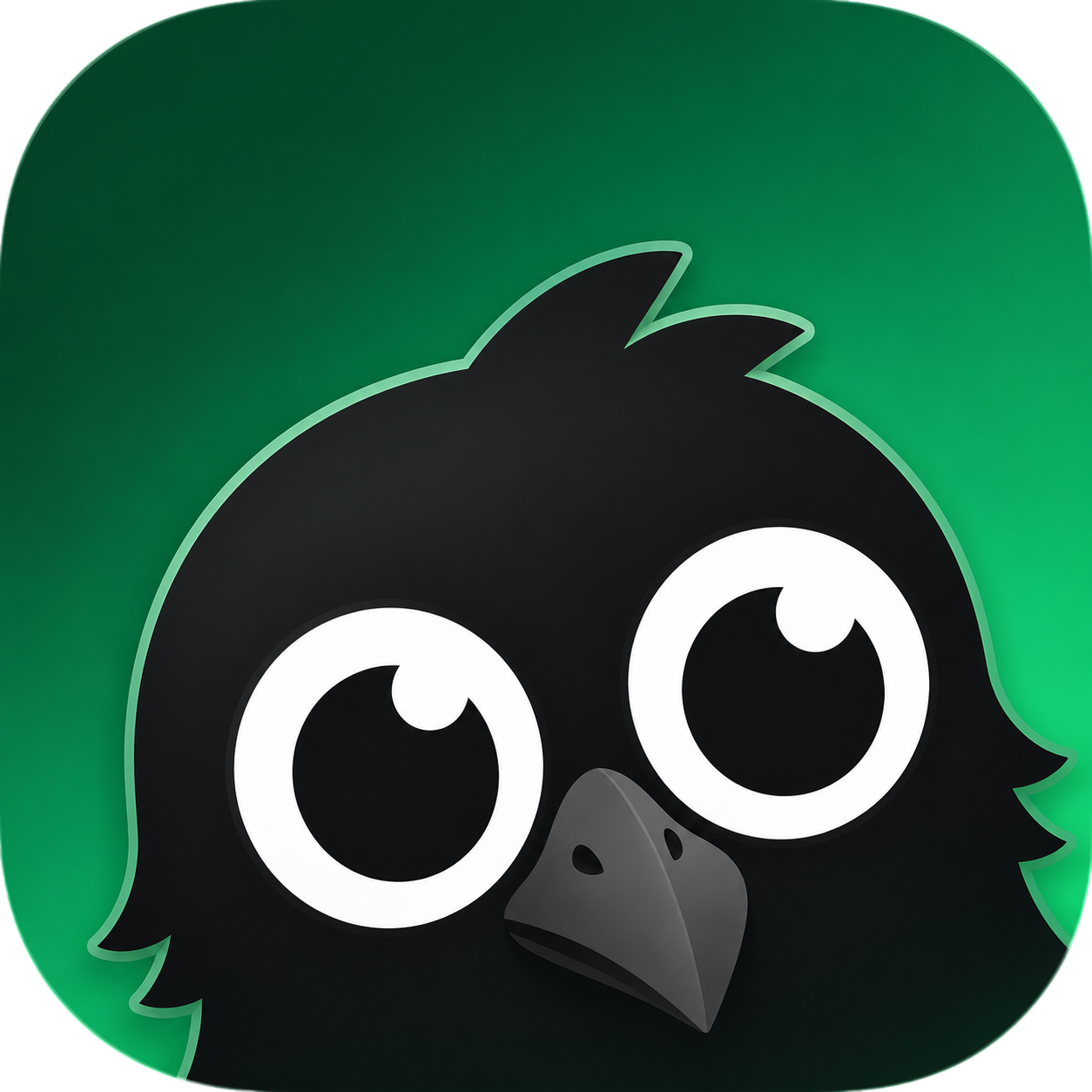 Black Raven app icon